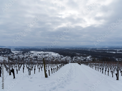 Vue sur le village d'istein et la plaine du Rhin depuis les vignobles sous la neige