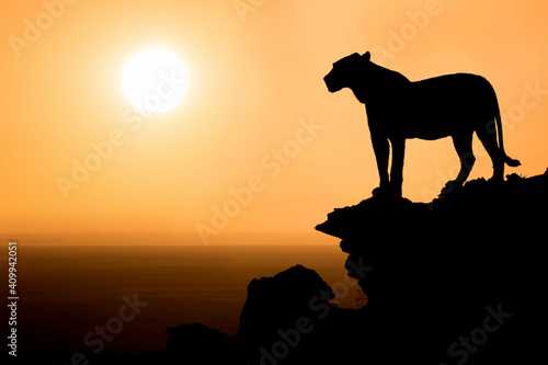 silhouette of a lion on a mountain at sunset