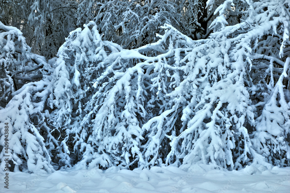 Beautiful snowy landscape after heavy snowfall