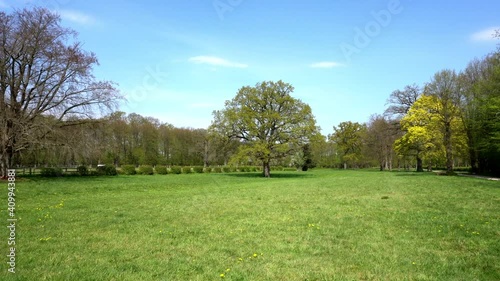 Four Seasons Tree - Season weather change throughout the year