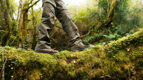 Side view of legs of crop explorer in trekking boots standing on mossy ground in forest during summer adventure photo