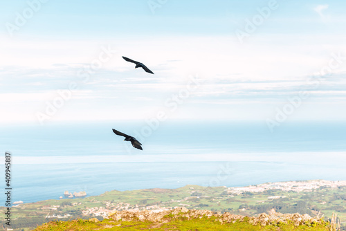 Birds soaring above green rocks in mountainous area on sunny day in El Mazuco photo