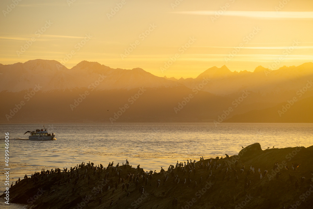 Obraz premium Penguin Islands in Argentine Patagonia