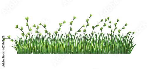 Green grass border. Fresh green leaves and branches grass. Isolated on transparent background. Illustration for use as design element © designer_things