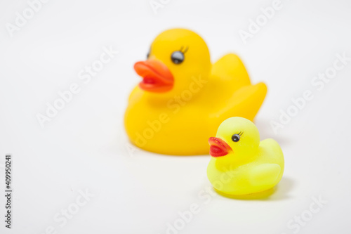 Yellow rubber ducks family isolated on white, copy space