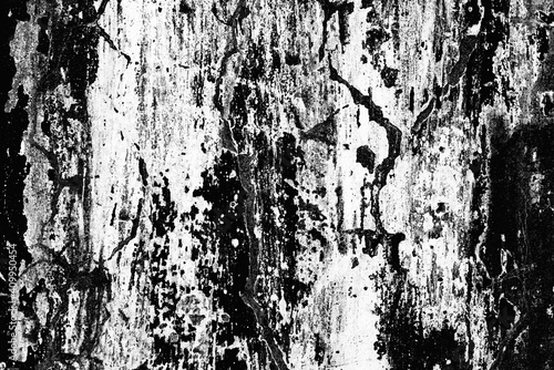 Wallpaper Mural Texture of a concrete wall with cracks and scratches which can be used as a background Torontodigital.ca