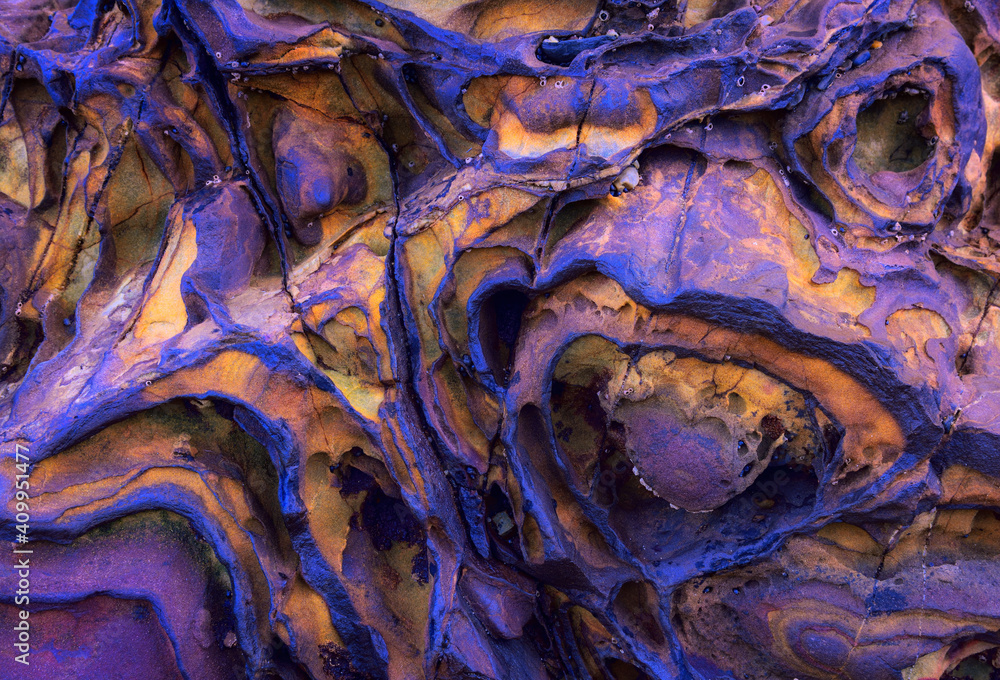 Strange texture with alien patterns on a cliff in Asturias