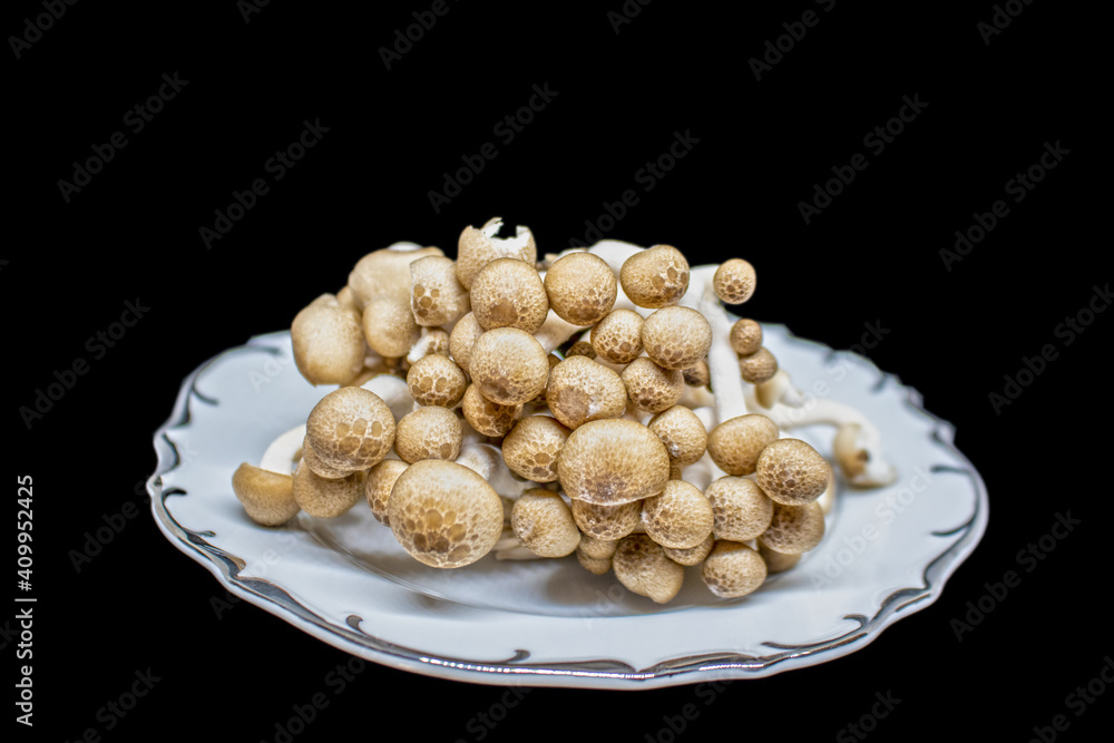Organic brown clamshell gormet mushrooms isolated on black - sitting on fine china dish with silver trim - Selective focus Organic brown clamshell gormet mushrooms isolated on black - sitting on fine china dish with silver trim - Selective focus