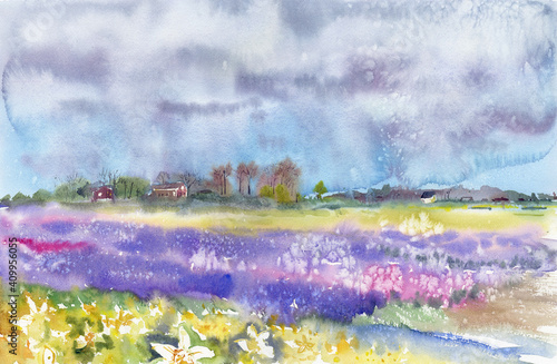 Spring field with blooming flowers: daffodils and hyacinths. Netherlands. Watercolor landscape from nature 