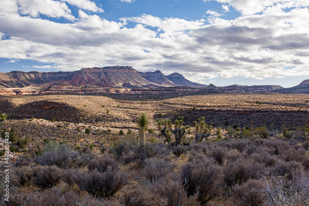 Fototapeta premium Grand Canyon Parashant