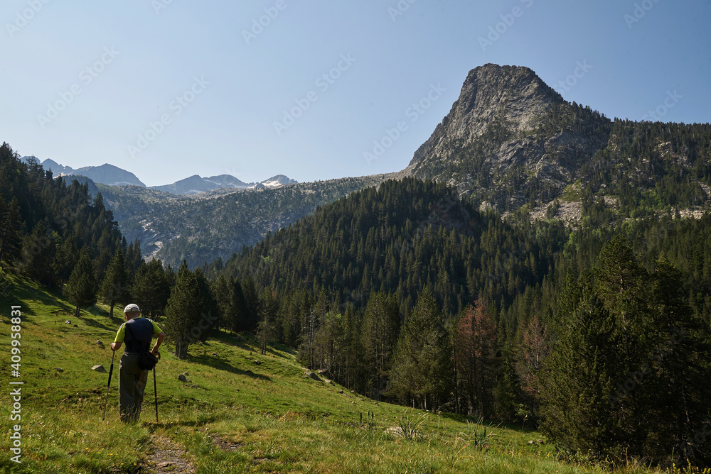 Back view of unrecognizable male explorer with trekking poles hiking in green highland valley under blue sky on sunny day Back view of unrecognizable male explorer with trekking poles hiking in green highland valley under blue sky on sunny day