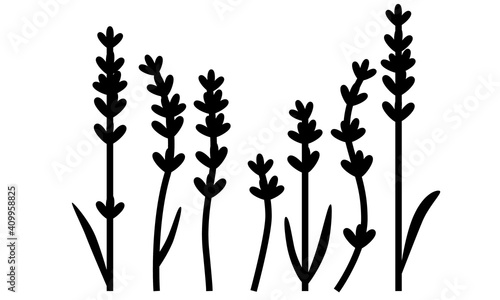 Wallpaper Mural Black silhouette of lavender flowers isolated on white background. Flat design for poster or t-shirt. Vector illustration Torontodigital.ca