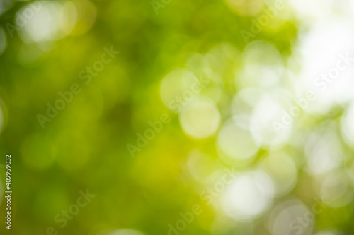 Light of out focus,Blurred background.Bokeh from natural green leaves.
