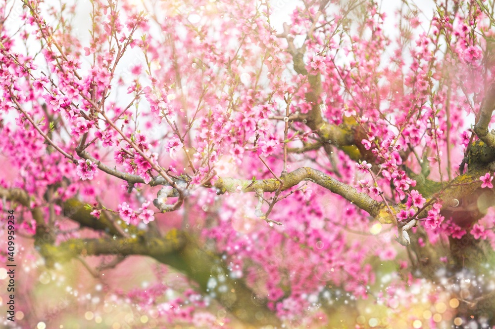 Nature. Nature.