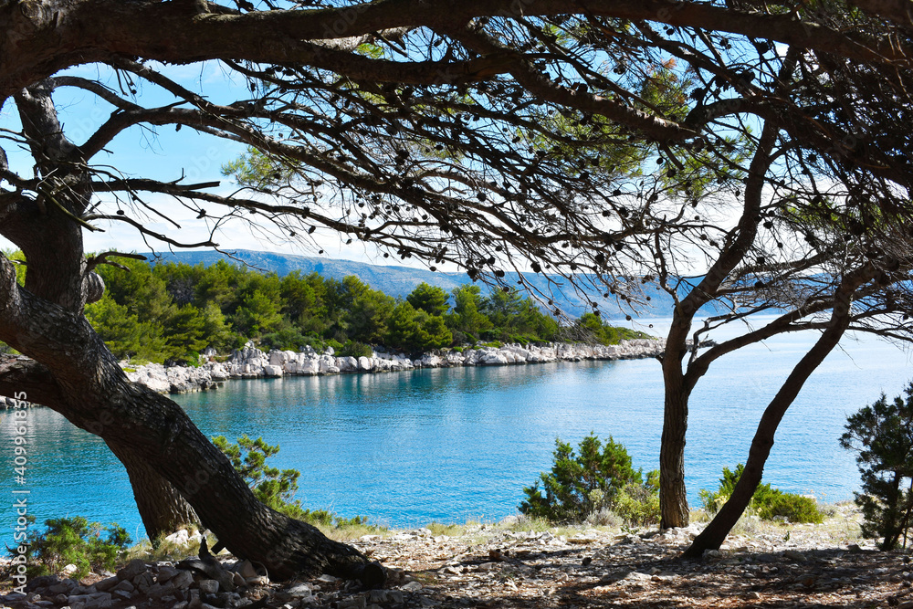 Beautiful Adriatic sea in Croatia,Hvar,nice calm bay through green pine.Blue,transparent,turquoise water, sunny weather. No people