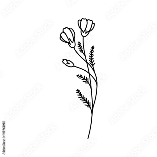 Hand drawing flower. Perfect for wedding invitations  greeting cards  blogs. Vector illustration isolated on white.