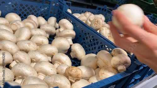 Close up female hand takinf mushrooms on the counter of a grocery store counter in a blue basket. Customer choosing fresh farm vegetables. Veggy healthy lifestyle. Organic food. Season sal 4k photo