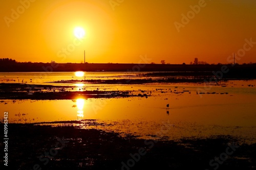 Magnifique coucher de soleil au milieu des marais camarguais