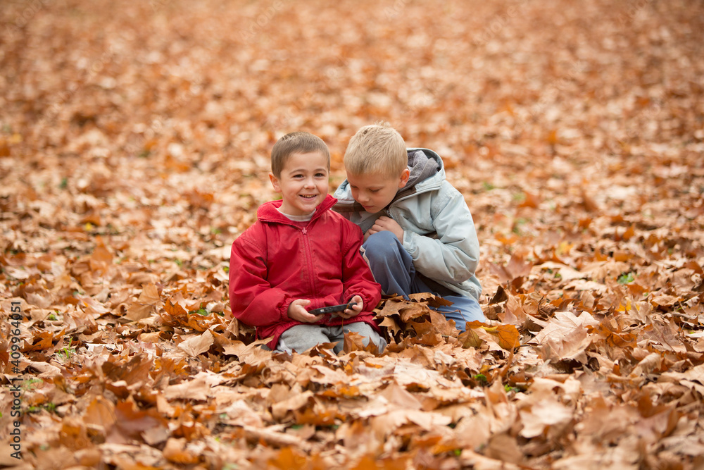 Little blonde and brunette brothers play on phone outdoor, in the middle of a dry leaf-litter covered field. Little blonde and brunette brothers play on phone outdoor, in the middle of a dry leaf-litter covered field.