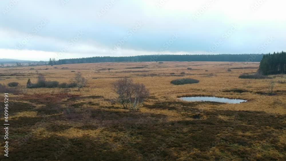 Rising tilt down aerial marshland pond cloud day birch trees landscape Rising tilt down aerial marshland pond cloud day birch trees landscape
