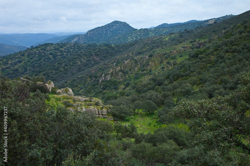 Fototapeta premium Parque Natural Sierra de Andújar, Jaen, Andalucía, España