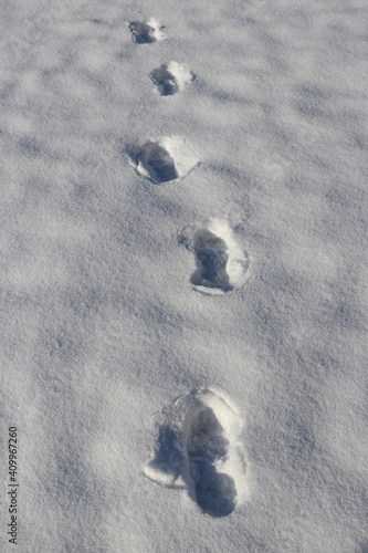 Schnee, Winter, Fußabdruck, Fußstapfen, Schuhe, Schritte, Glatteis