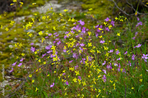 Parque Natural Sierra de Andújar, Jaen, Andalucía, España