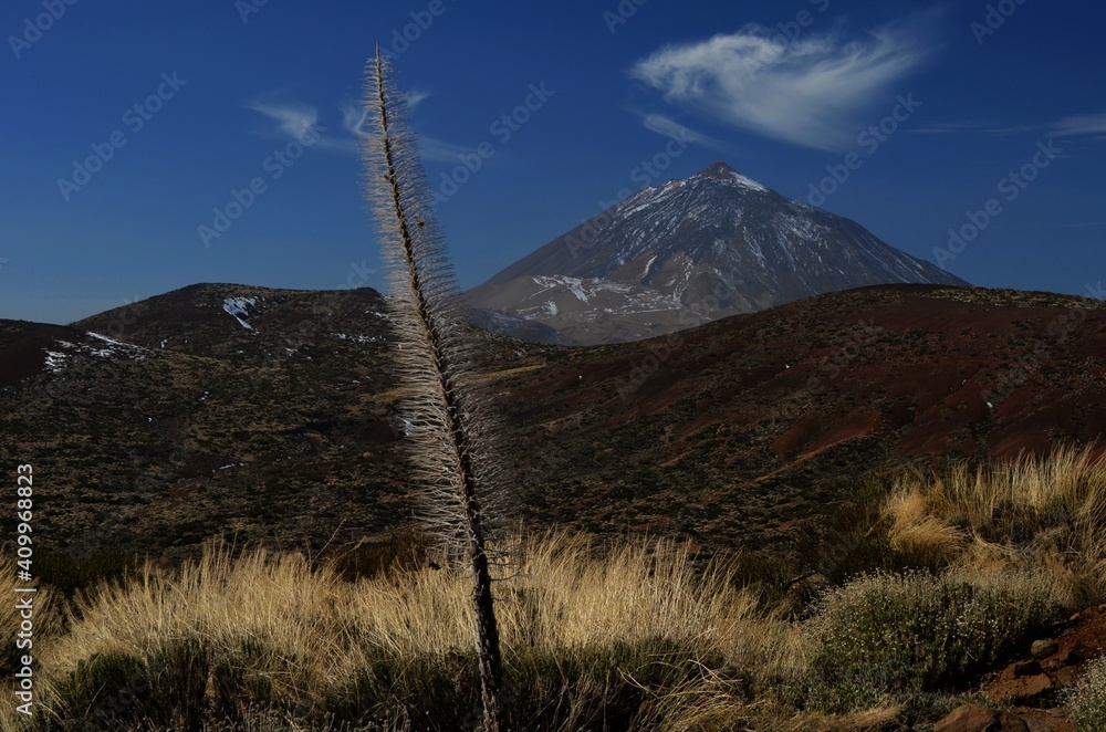 Teide, Teneriffa, Tenerife, Kanaren, Canarias, Insel, Reise, Urlaub, Ausflug, Berg, Spanien, Frühling, Winter, Landschaft, Vulkan, Himmel, Natur