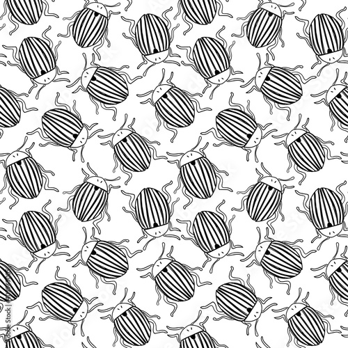Vector seamless black and white pattern of hand drawn doodle isolated colorado potato beetles