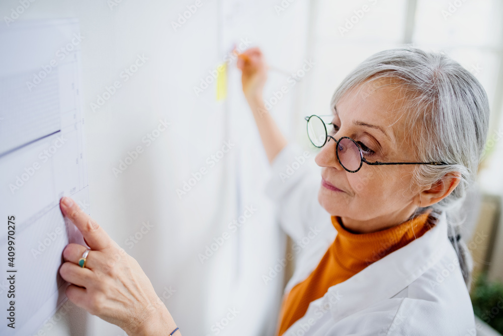 Portrait of senior woman architect standing indoors at home, working. Portrait of senior woman architect standing indoors at home, working.