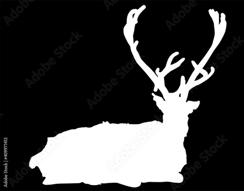 recumbent reindeer large white silhouette on black