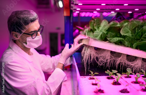 Worker with face mask on aquaponic farm, sustainable business and coronavirus. photo