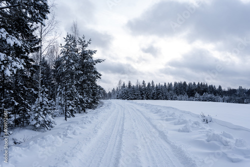 white winter and snowy road in the woods where the trees are snowy white © Rolands