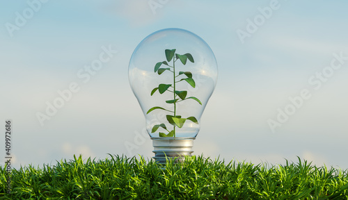 glass bulb on a ground full of vegetation with a background of clouds and a plant inside it. 3d render
