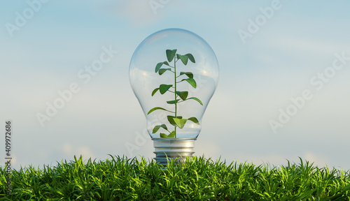 Schilderij op canvas glass bulb on a ground full of vegetation with a background of clouds and a plant inside it