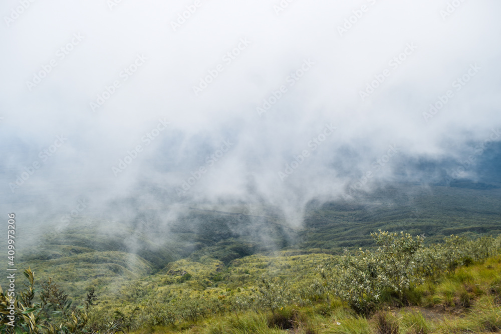 Foggy mountain landscapes in the Aberdares, Kenya
