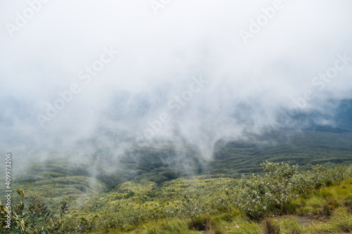 Foggy mountain landscapes in the Aberdares, Kenya