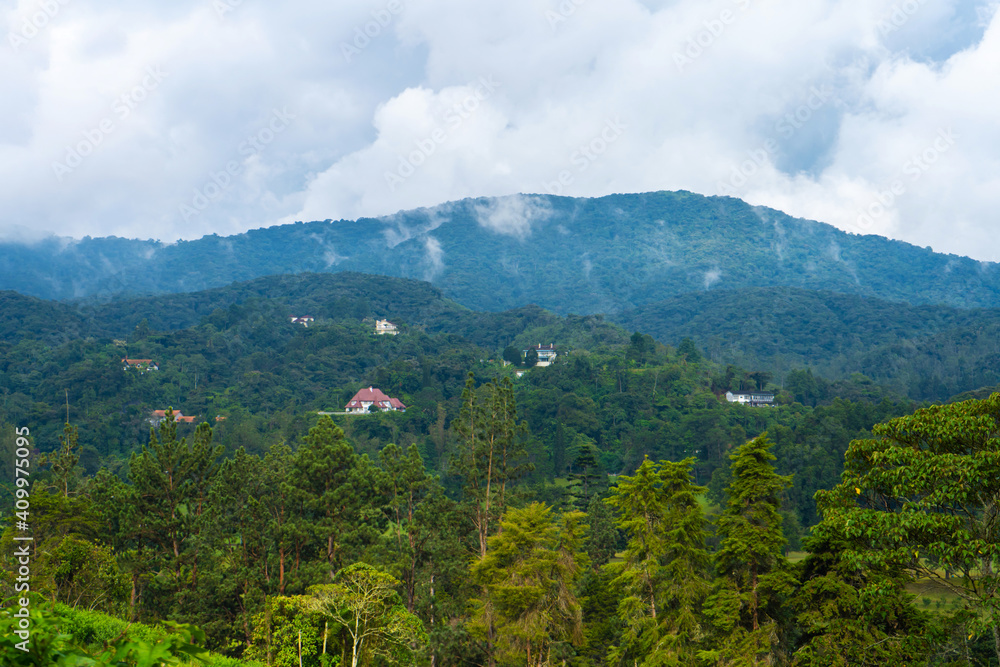 Naklejka premium Natural landscape of dense Asian mountain jungle