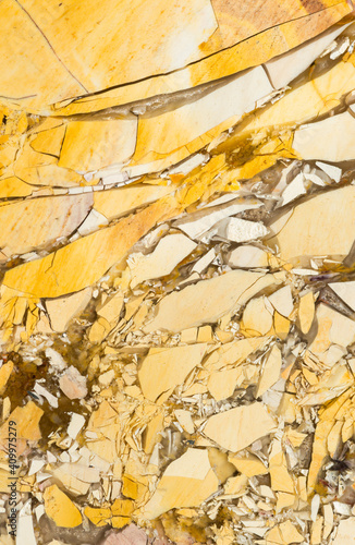 Macro photograph of a slab of polished Mookaite jasper from the Mooka Creek area of Western Australia. Formed approx. 125 million yrs ago, in part, from the fossilization of microscopic protozoa called radiolaria. photo