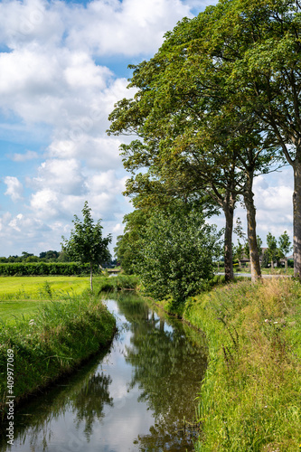 Dutch green landscape in summer in fruit region Betuwe, Gelderland