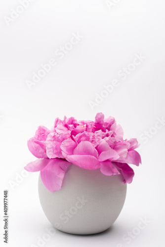 Fototapeta Naklejka Na Ścianę i Meble -  pink peony flower in vase on white