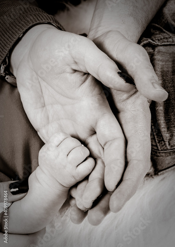 Parents and baby hands in black and white 