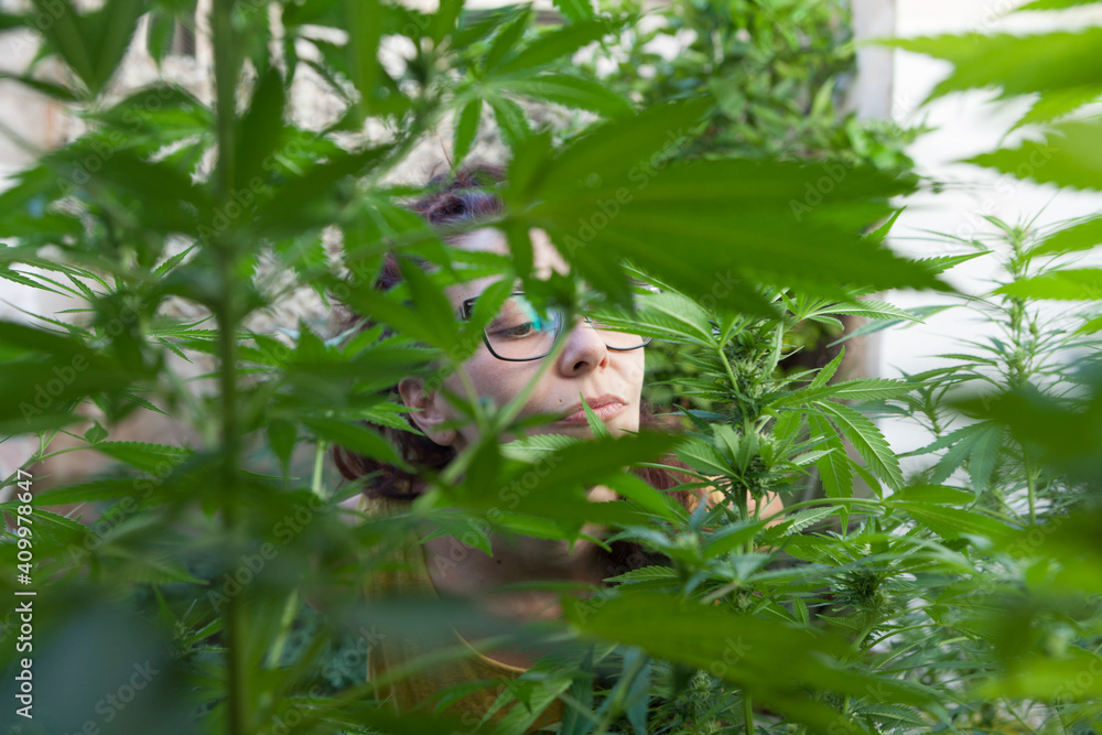 Portrait of woman watching her Marijuana plants Portrait of woman watching her Marijuana plants