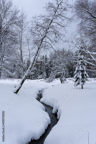 a large layer of thick snow along both sides of the stream where there is water in the middle of the stream and there are trees along the sides © Rolands