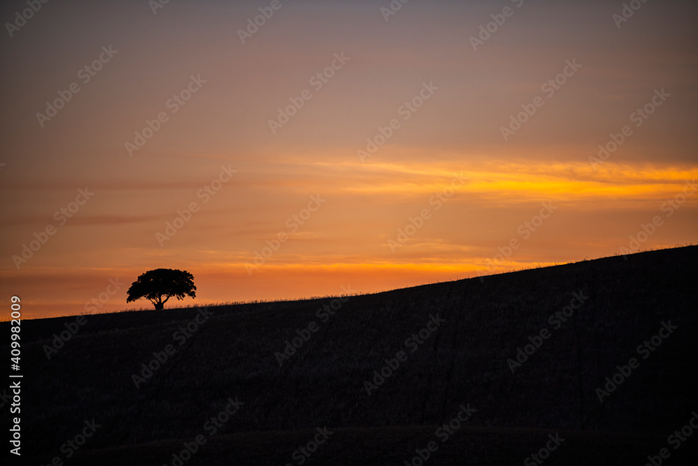 Backlight of mount and tree at sunset. High quality photo.