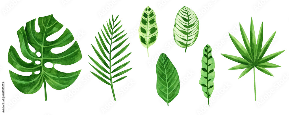 Watercolor set of tropical leaves. Watercolor set of tropical leaves.
