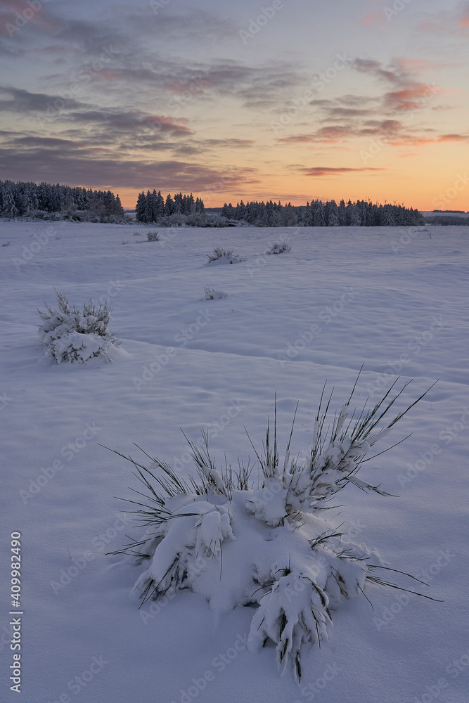 Obraz premium Fresh snow at sunset with beautiful dramatic sky in Eifel Nationalpark