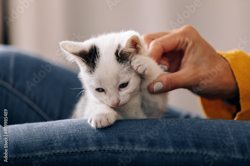 Crop anonymous female owner stroking cute kitty while resting at home photo