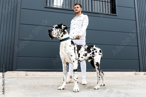 From below of male owner standing with big Harlequin Great Dane dog during stroll in city and looking away