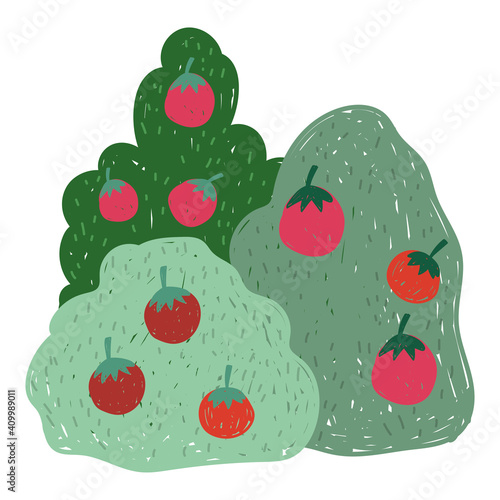 gardening bushes tree apples fruits nature